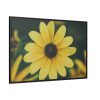 88289-325.jpg Blooming Yellow Petaled Flowers Framed Canvas
