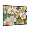 88289-330.jpg White Flowers Framed Canvas