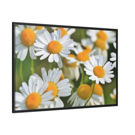 White Flowers Framed Canvas