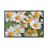88289-331.jpg White Flowers Framed Canvas