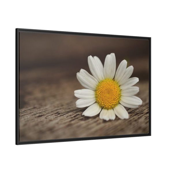 88289-335.jpg Daisy Family Framed Canvas