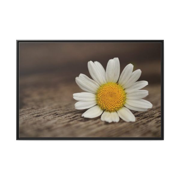 88289-336.jpg Daisy Family Framed Canvas