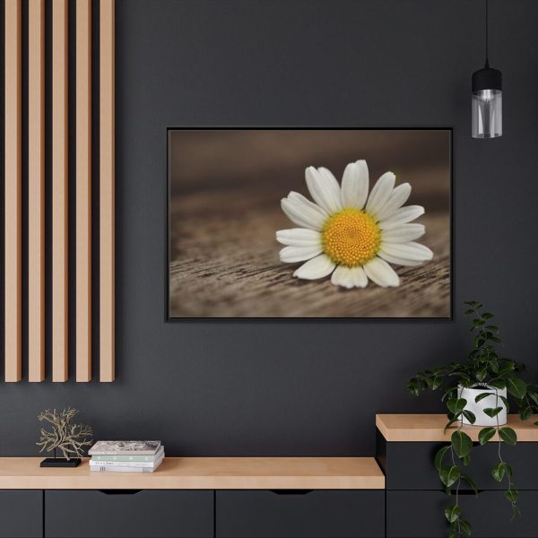 88289-339.jpg Daisy Family Framed Canvas