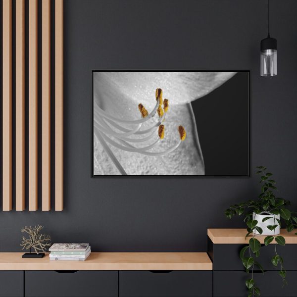 Bloom Lily Framed Canvas