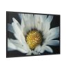 88289-345.jpg Daisy Pollen Framed Canvas