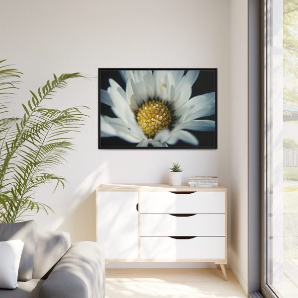 88289-348.jpg Daisy Pollen Framed Canvas