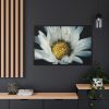88289-349.jpg Daisy Pollen Framed Canvas