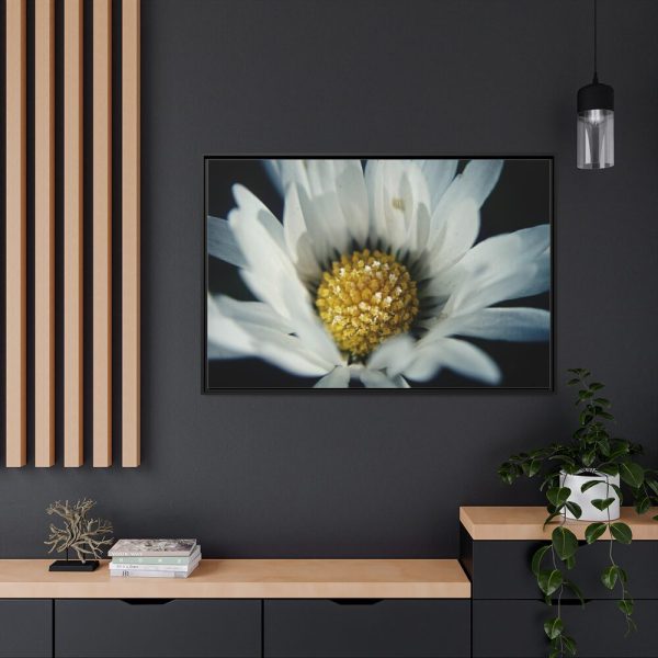 88289-349.jpg Daisy Pollen Framed Canvas