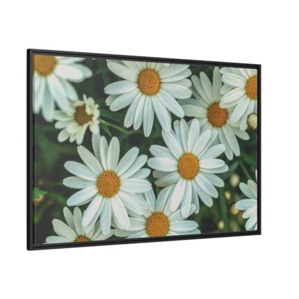Blossom Daisy Framed Canvas