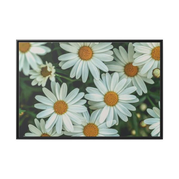 88289-356.jpg Blossom Daisy Framed Canvas