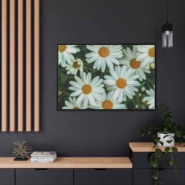 88289-359.jpg Blossom Daisy Framed Canvas