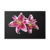 Tiger Lily Flower Framed Canvas