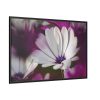 88289-360.jpg Flowering Plant Framed Canvas