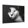 88289-365.jpg Bicolor Cat with Piercing Blue Eyes Framed Canvas