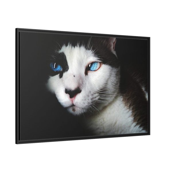 88289-365.jpg Bicolor Cat with Piercing Blue Eyes Framed Canvas