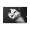88289-366.jpg Bicolor Cat with Piercing Blue Eyes Framed Canvas