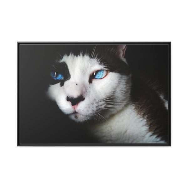88289-366.jpg Bicolor Cat with Piercing Blue Eyes Framed Canvas