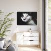 88289-368.jpg Bicolor Cat with Piercing Blue Eyes Framed Canvas