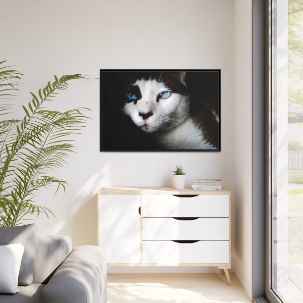 88289-368.jpg Bicolor Cat with Piercing Blue Eyes Framed Canvas