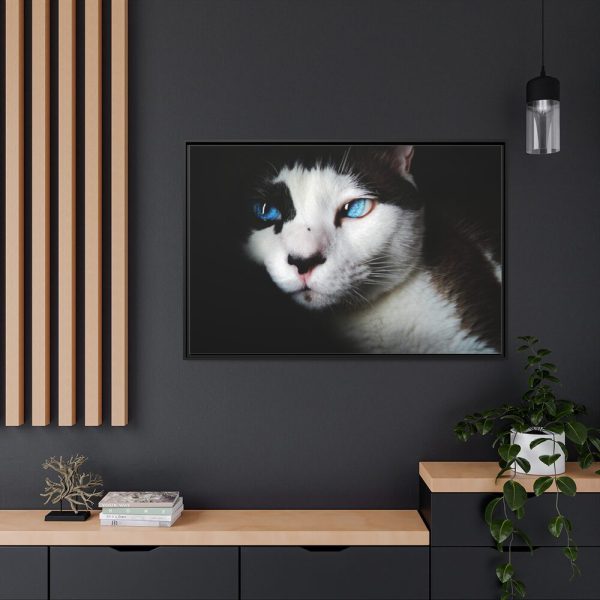 88289-369.jpg Bicolor Cat with Piercing Blue Eyes Framed Canvas