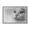 88289-371.jpg Beautiful Cat with Green Eyes Framed Canvas