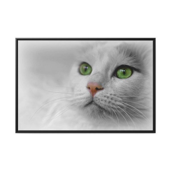 88289-371.jpg Beautiful Cat with Green Eyes Framed Canvas