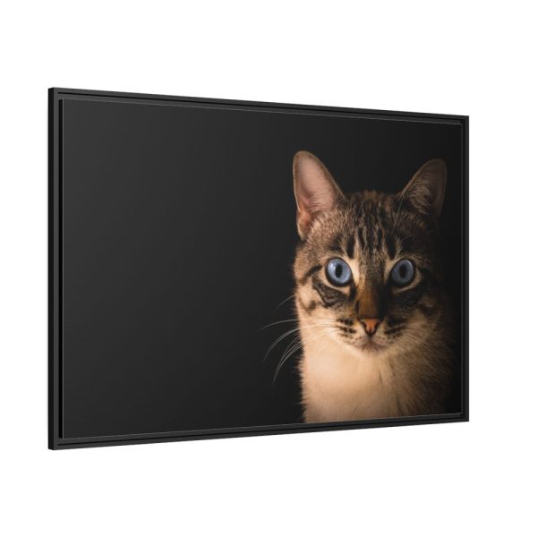 88289-375.jpg Cute Cat with Blue Eyes Framed Canvas