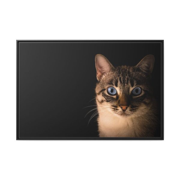 88289-376.jpg Cute Cat with Blue Eyes Framed Canvas