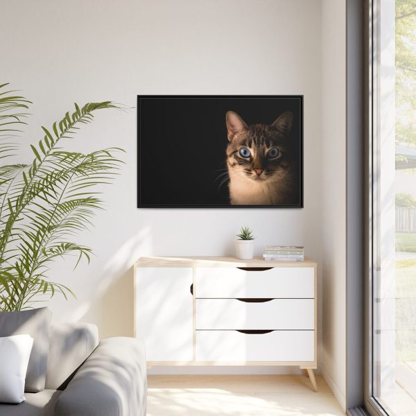 88289-378.jpg Cute Cat with Blue Eyes Framed Canvas