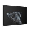 Cute Gray Cat Framed Canvas