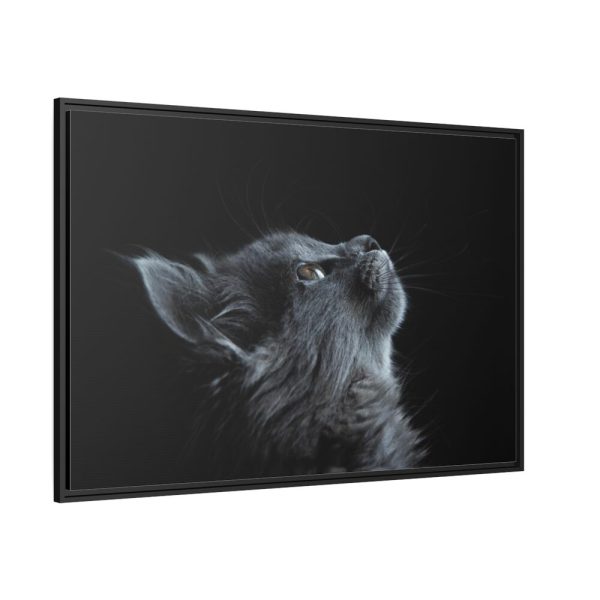 Cute Gray Cat Framed Canvas