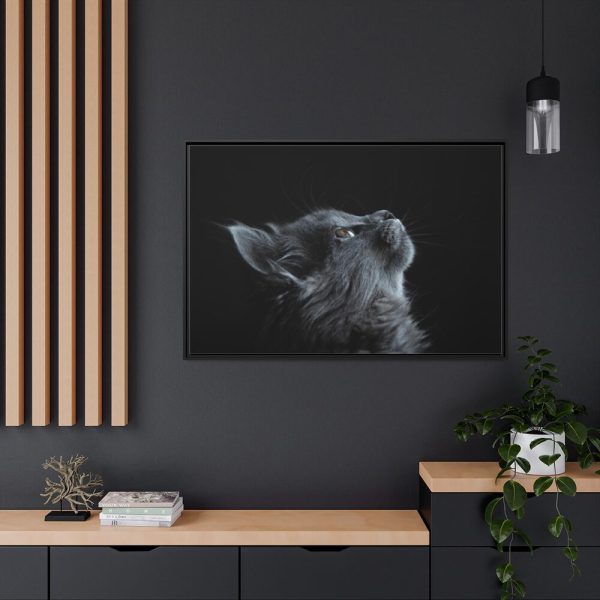 Cute Gray Cat Framed Canvas