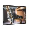 88289-385.jpg Beautiful Cat on Chair Framed Canvas