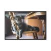 88289-386.jpg Beautiful Cat on Chair Framed Canvas