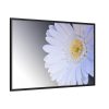 88289-390.jpg White Gerbera Framed Canvas