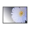 88289-391.jpg White Gerbera Framed Canvas