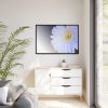 88289-393.jpg White Gerbera Framed Canvas