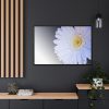 88289-394.jpg White Gerbera Framed Canvas