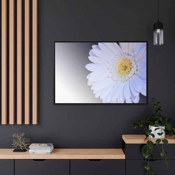 88289-394.jpg White Gerbera Framed Canvas