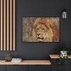 Beautiful Lion's Head Framed Canvas