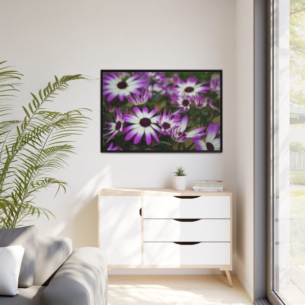88289-408.jpg Purple Garden Cosmos Framed Canvas