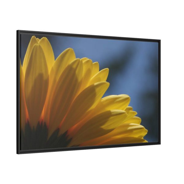 88289-410.jpg Daisy Gerbera Framed Canvas