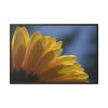 88289-411.jpg Daisy Gerbera Framed Canvas