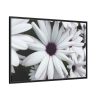 88289-415.jpg Flower Petal Framed Canvas