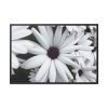 88289-416.jpg Flower Petal Framed Canvas
