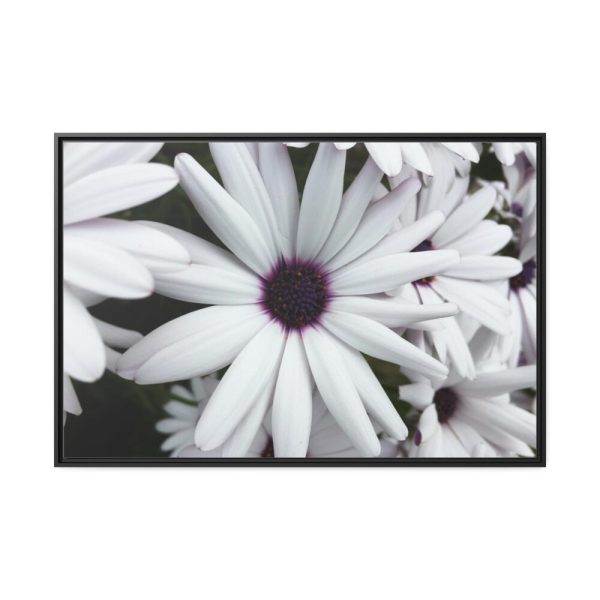 88289-416.jpg Flower Petal Framed Canvas