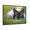 88289-420.jpg Cat Hunting Framed Canvas