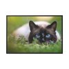 88289-421.jpg Cat Hunting Framed Canvas