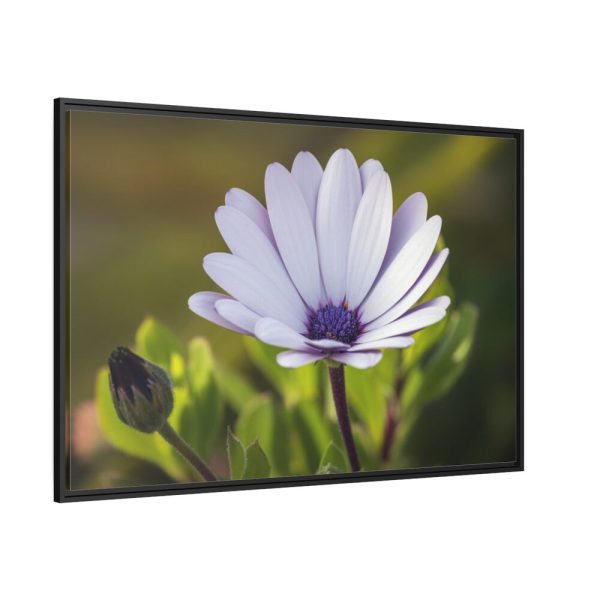 88289-430.jpg Herbaceous Plant Framed Canvas