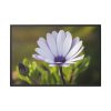 88289-431.jpg Herbaceous Plant Framed Canvas